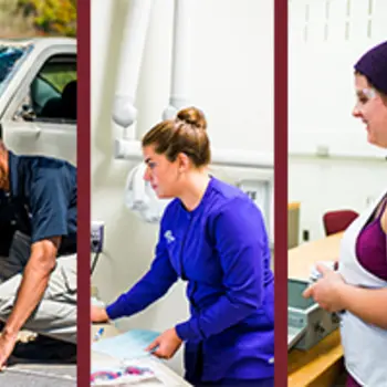 Collage of people working