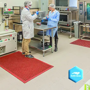 Two people standing in bionetwork lab/test kitchen