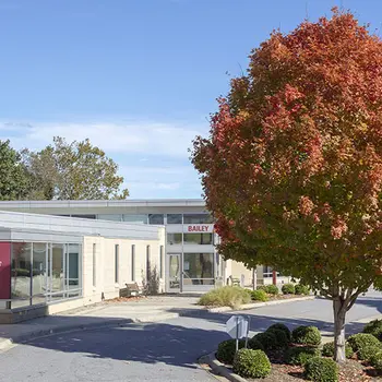 A-B Tech Bailey Tree