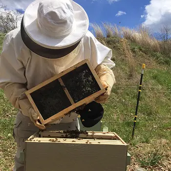 A-B Tech Apiary Tile