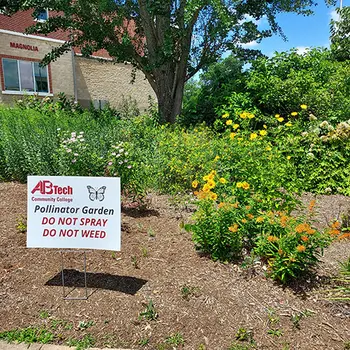 Pollinator Gardens Tile