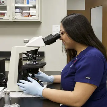 Allied Health, and Pre-Selective and Limited Programs Tile