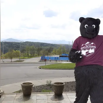 Trailblazer bear on Fernihurst porch