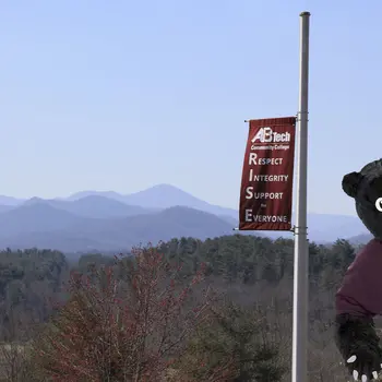 Trailblazer bear photobombs photo of mountain view