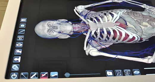 Anatomage table
