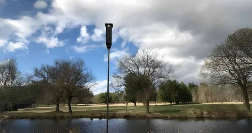 Bat house on a pole.