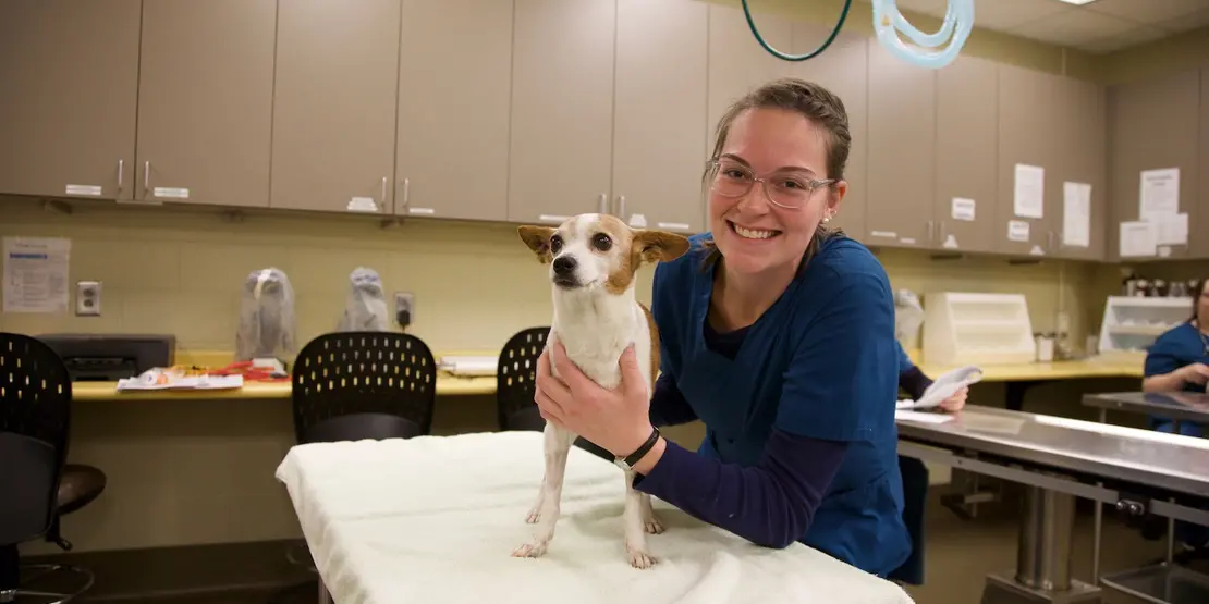 Vet student and puppy