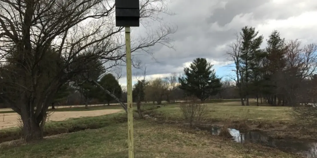 Bat house on a pole.