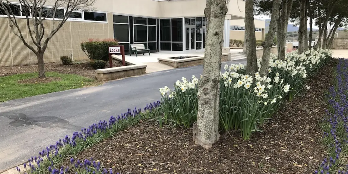Flowers at A-B Tech