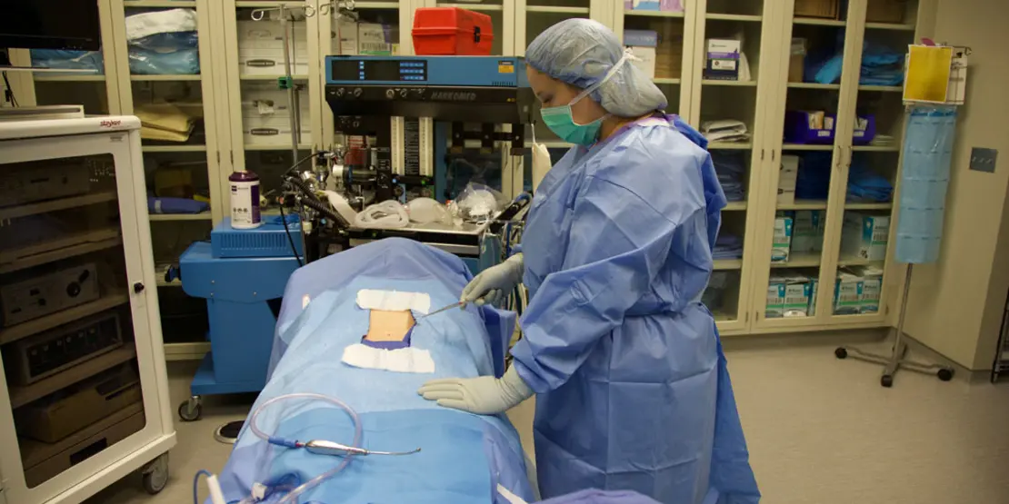 Surgical Student-4