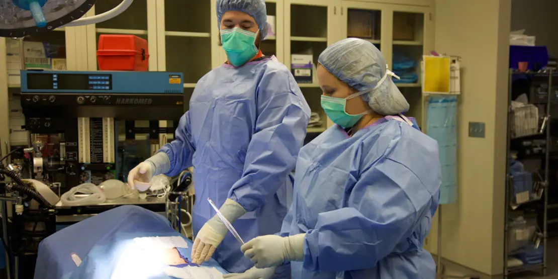 Surgical Student-6
