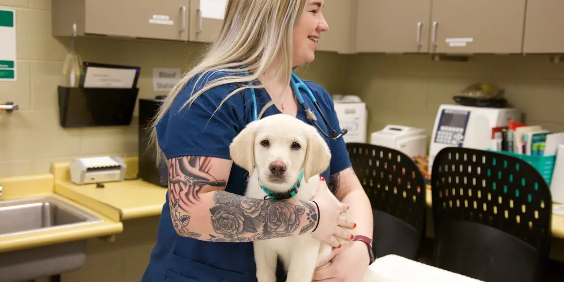 Veterinary Student holding dog on an examining table