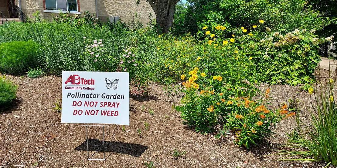 Pollinator Gardens Featured
