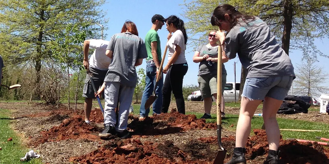 Sustainability Committee Featured