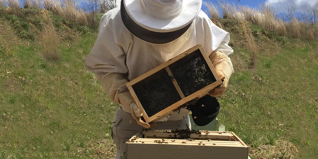 Bee Yard Receives Sponsor-A-Hive Grant - News Featured
