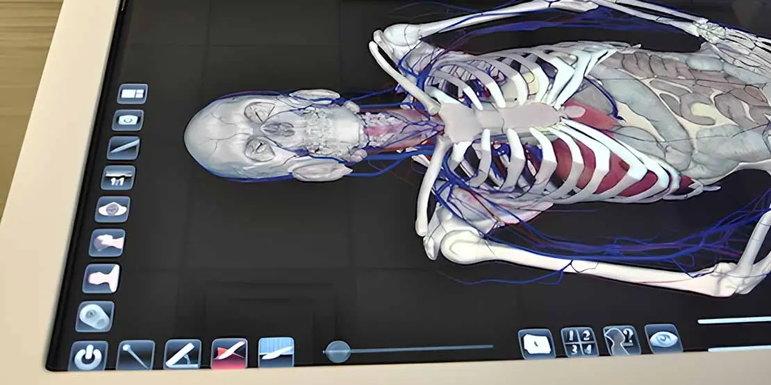 Anatomage table