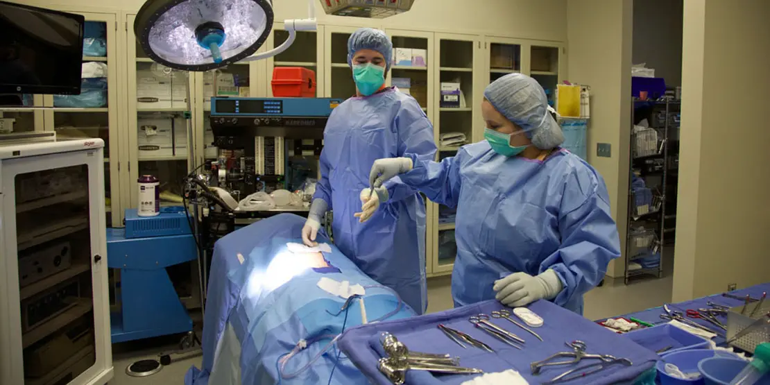 Surgical Technology Students at A-B Tech have 100 Percent Pass Rate - News Featured