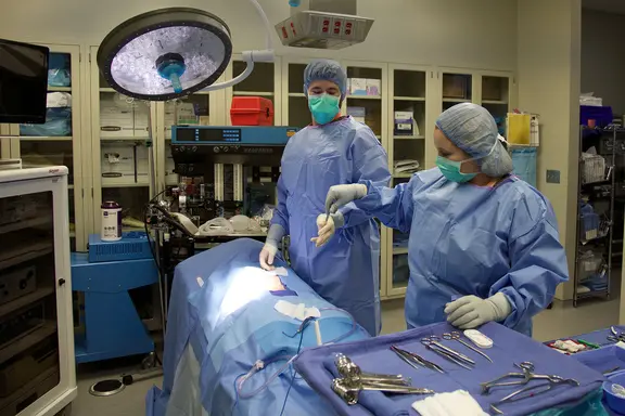 Surgical Technology - Hero