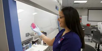 Good News from Campus Programs - News Featured