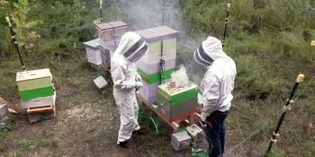 A-B Tech Apiary